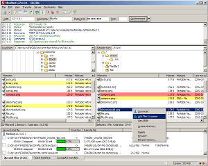 FileZilla® — Windows Main