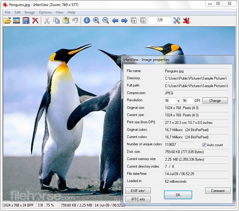 IrfanView screenshot 1