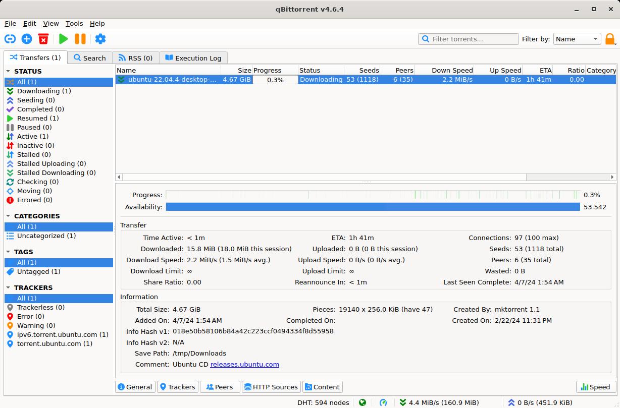 qBittorrent — Main window (General tab expanded)