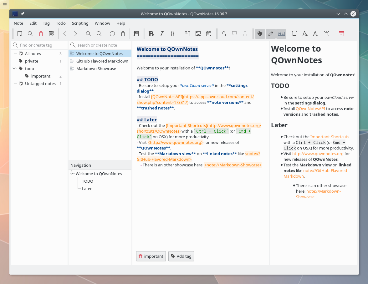 QOwnNotes — QOwnNotes main screen